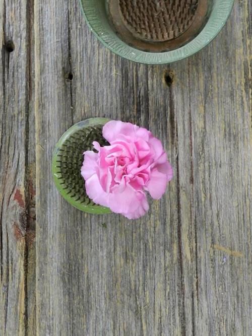 Malibu Lavender Mini Carnations